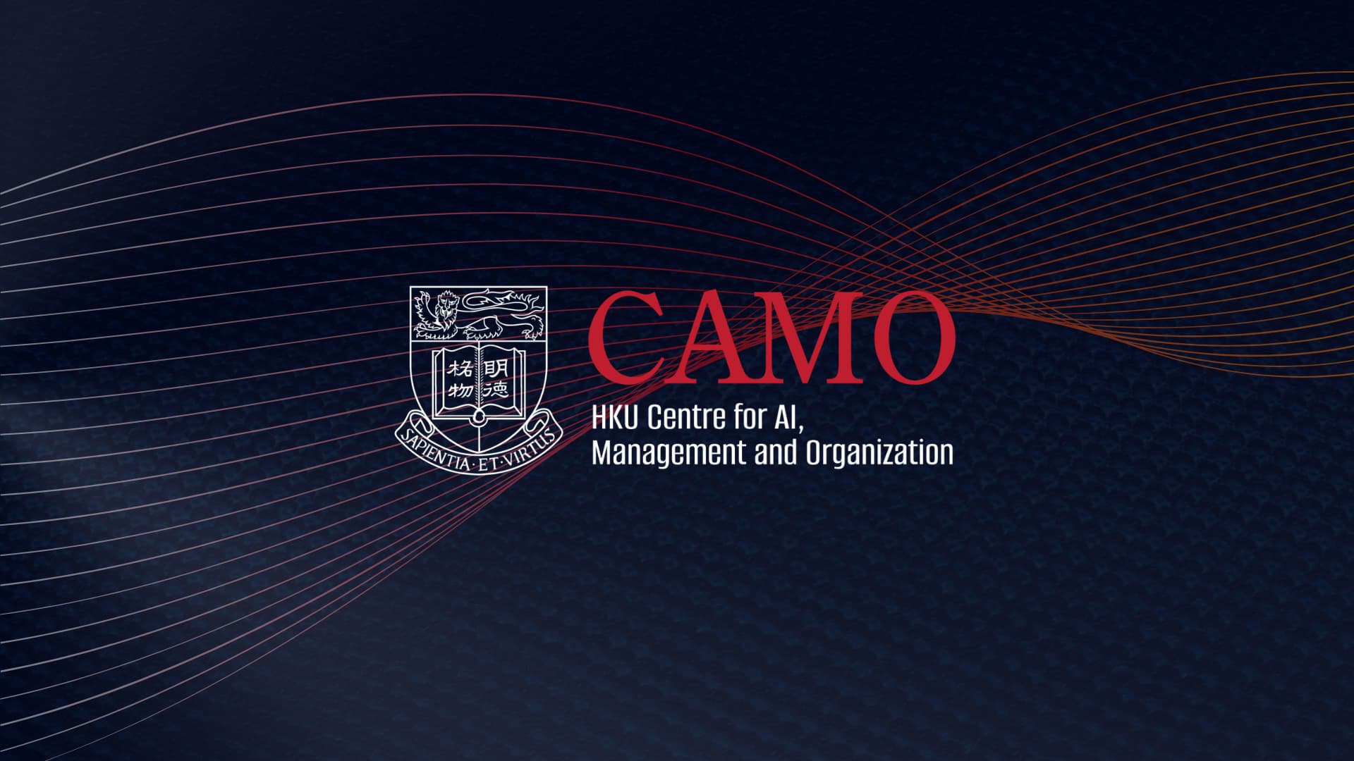 HKU Centre for AI, Management and Organization